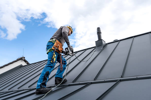 Best 4 Ply Roofing  in Point, TX