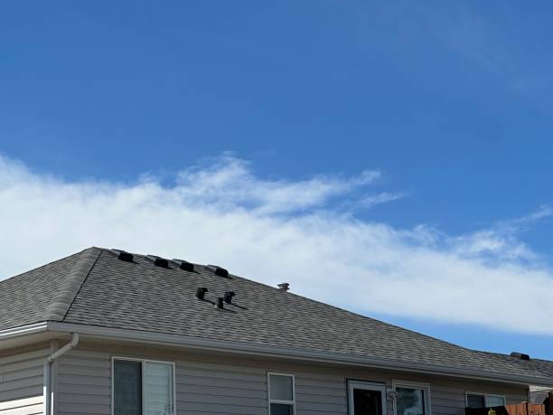 Best Roofing for New Construction  in Point, TX